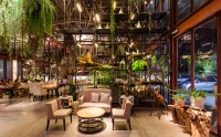 另类植物系餐厅设计，宛如在童话森林里就餐！