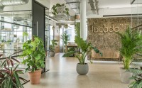 伦敦Jacada Travel旅游公司办公室：玩转森林风，让工作遇见自然